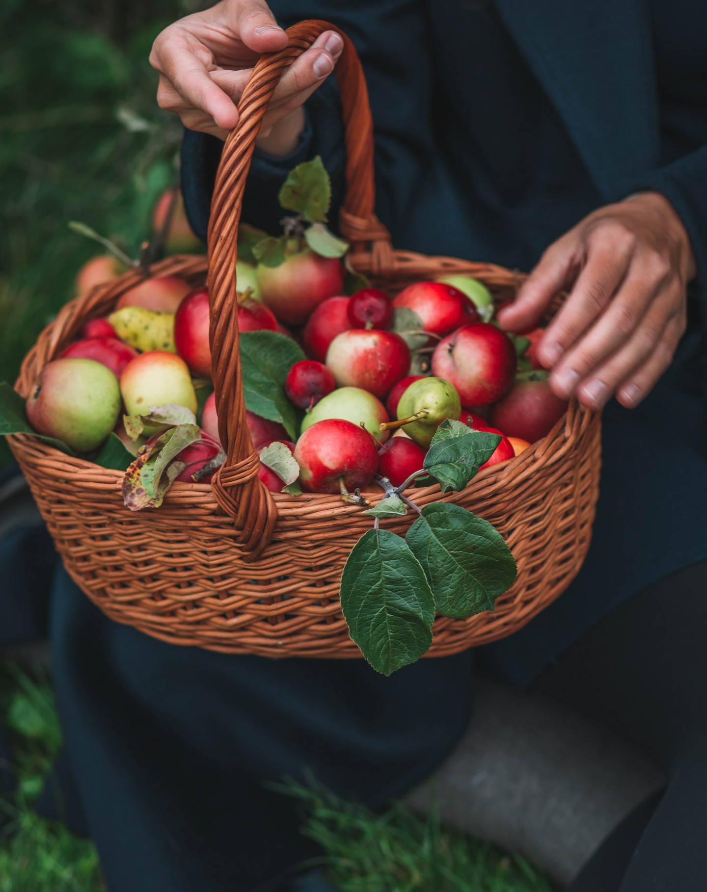 Mere și Pere de Toamnă